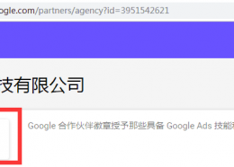 Google Premier Partener 谷歌优秀合作伙伴